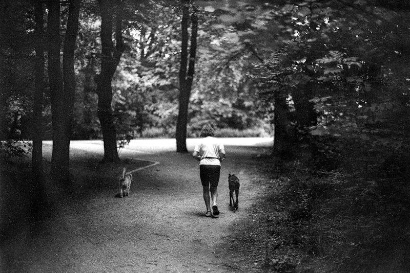 Rollei TONAL 100, Caffenol-C-M-Hot, 6min.