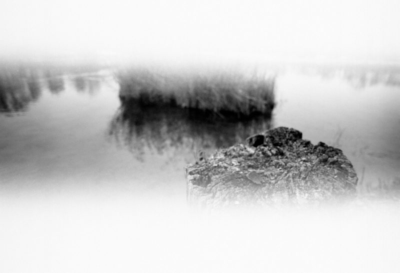 EI 50 Technical Pan in Caffenol-Delta-SMT25 Technical Pan in Caf