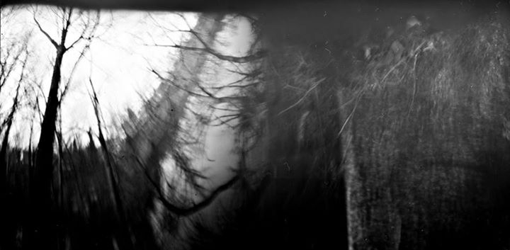 red beetroot juice developer, expired Ilfospeed 3.1 M papers, self made pinholes
