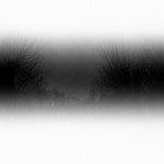 EI 200 Technical Pan in Caffenol-Delta-SMT